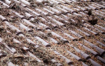 Westhorp roof cleaning companies